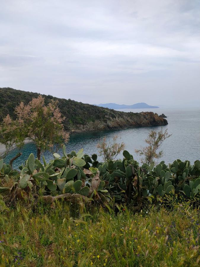 Domus Tilla Piombino Ngoại thất bức ảnh